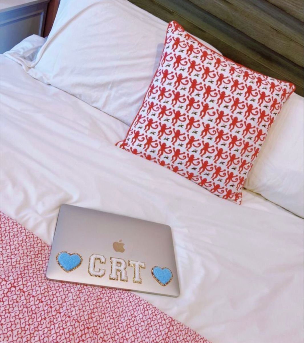 The Monkey Pillow Case in Blue