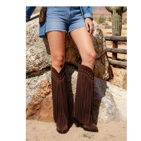 Women’s Brown Western Point Toe Boots Chunky Heel Slip-On Classic Style spring 2026 collection