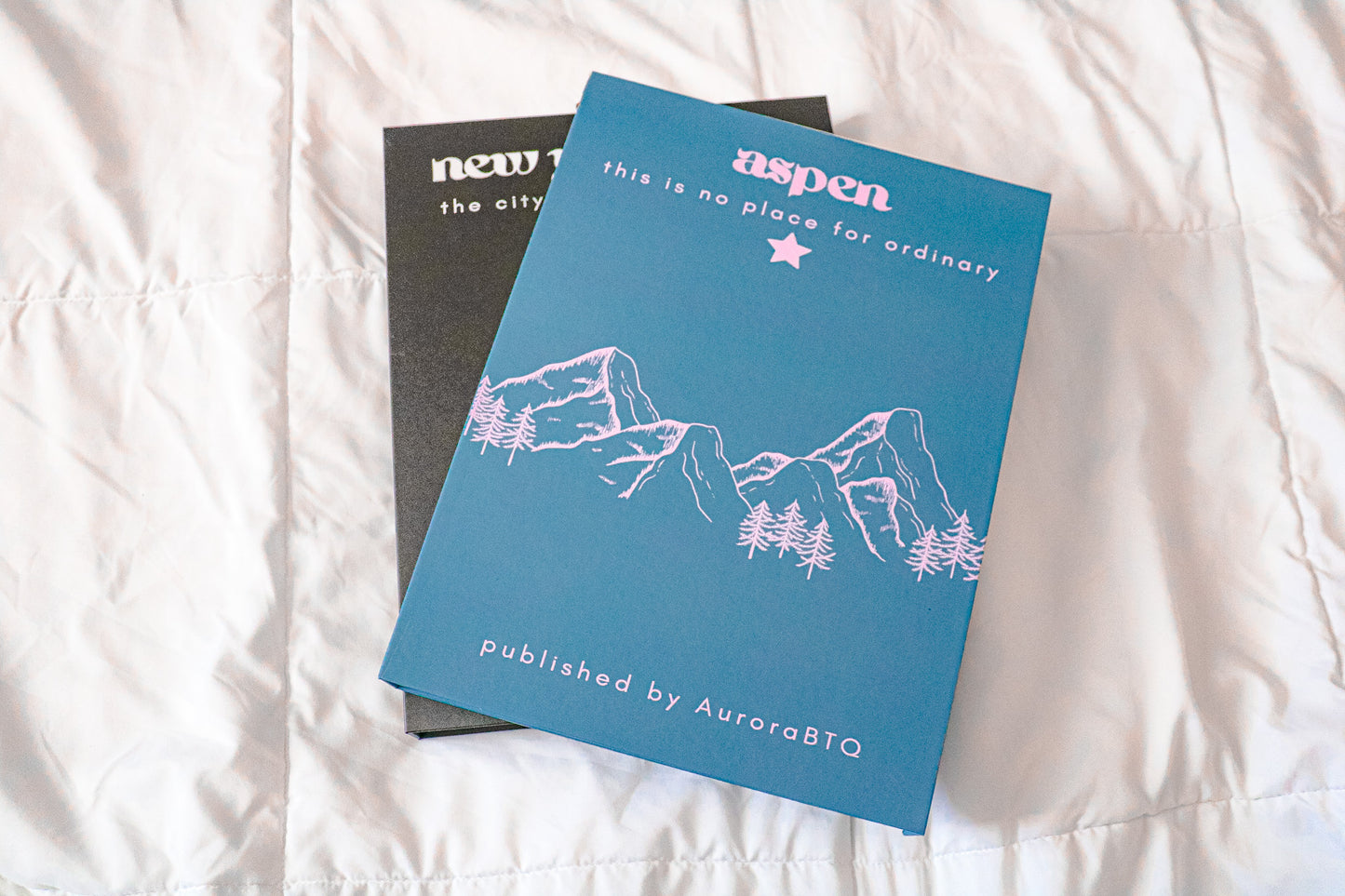 NYC/Aspen Home Decor Book Set