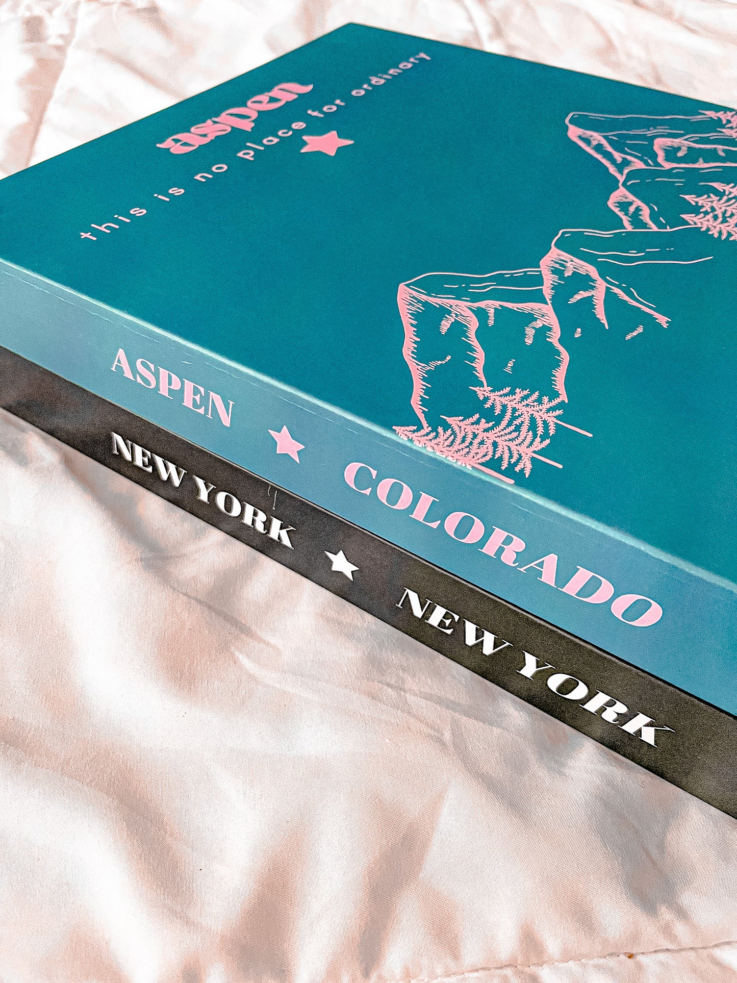 NYC/Aspen Home Decor Book Set